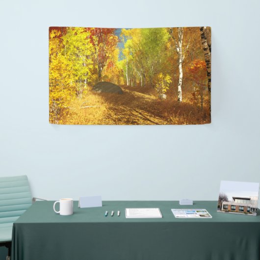 Valling Light Banner (Beurs)
