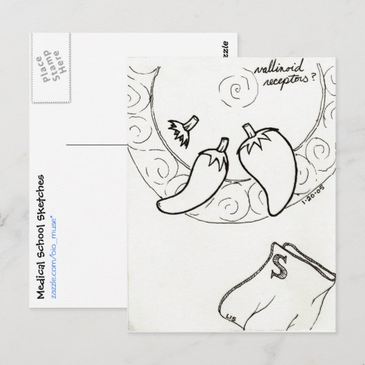 Vallinoïde receptoren briefkaart (Voorkant / Achterkant)