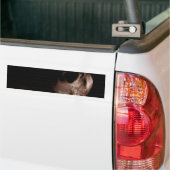 Valln Break vrij Bumpersticker (Op Truck)