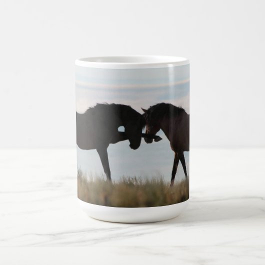 Valor & Honor ~ Son & Sire Wild Mustang Mok (Center)