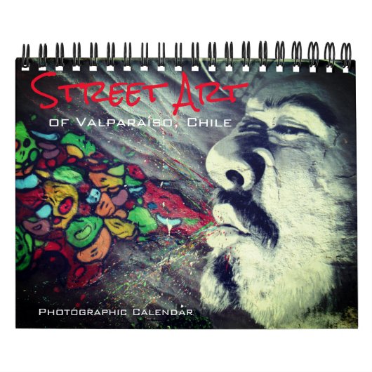Valparaíso Street Art 2025 Klein Kalender (Hoes)
