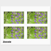 Valse Indigo (Baptisia australis) Rechthoekige Sticker (Vel)