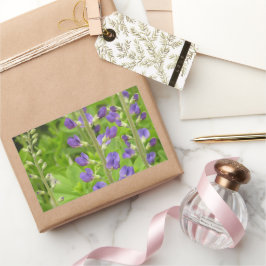 Valse Indigo (Baptisia australis) Rechthoekige Sticker