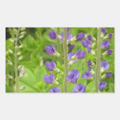 Valse Indigo (Baptisia australis) Rechthoekige Sticker (Voorkant)