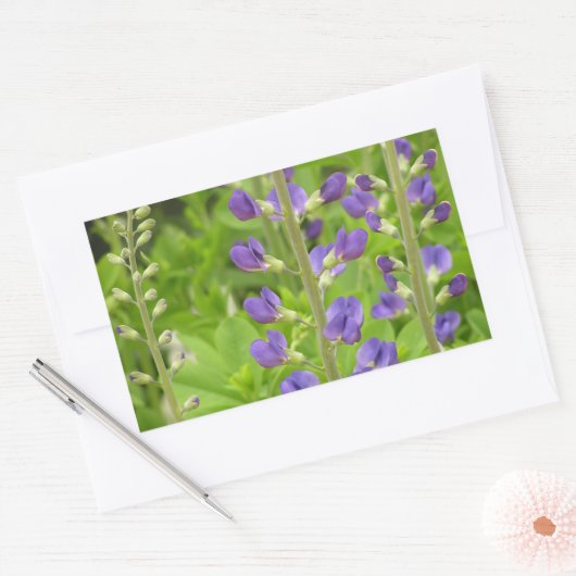 Valse Indigo (Baptisia australis) Rechthoekige Sticker (Envelop)