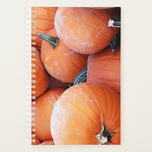 Valse pompoenstapel planner (Voorkant)