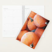 Valse pompoenstapel planner (Display)