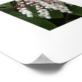 Valse Salomonszegel Bloemen Bloemig Poster (Hoek)