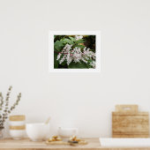 Valse Salomonszegel Bloemen Bloemig Poster (Keuken)