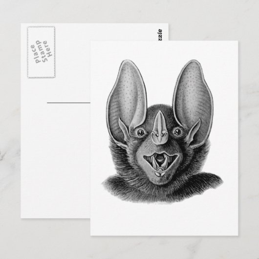 Valse Vampier Briefkaart (Voorkant / Achterkant)