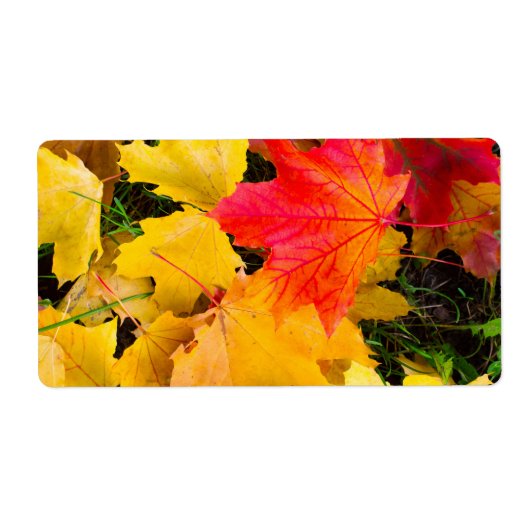 Valsmakelbladeren op de grond etiket (Voorkant)