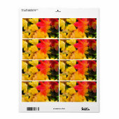 Valsmakelbladeren op de grond etiket (Full Sheet)