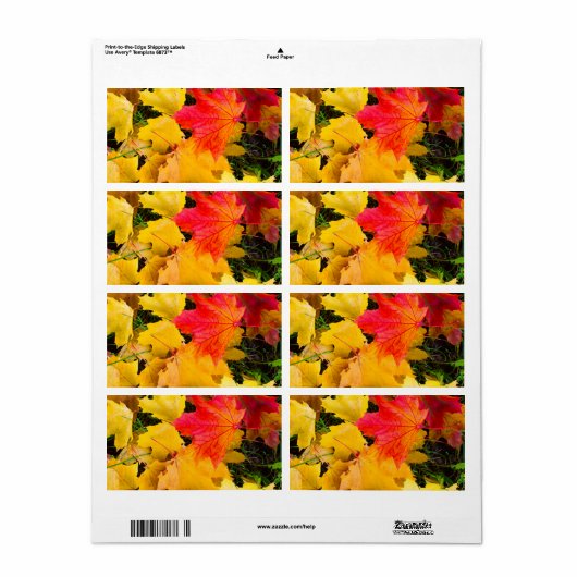 Valsmakelbladeren op de grond etiket (Full Sheet)