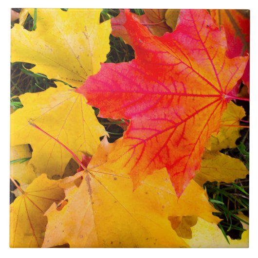 Valsmakelbladeren op de grond tegeltje (Voorkant)