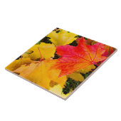 Valsmakelbladeren op de grond tegeltje (Zijkant)