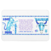 Valxart 1962 2022 WaterTiger zodiac Tautus Magneet (Horizontaal)