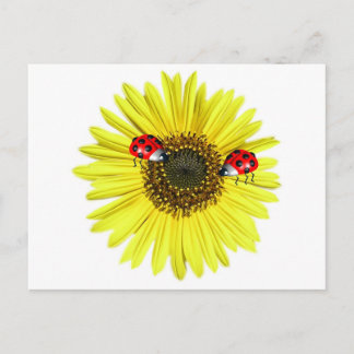 Valxart Happy Lady Bugs op gele zonnebloem Briefkaart