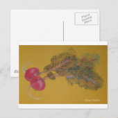 Valya's Radishes Briefkaart (Voorkant / Achterkant)