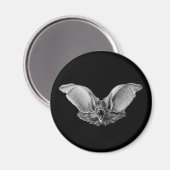 Vampier? Bat? Magneet (Voorkant / Achterkant)