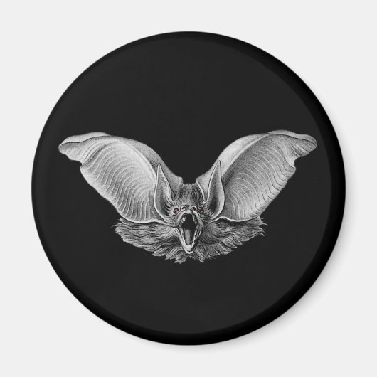 Vampier? Bat? Magneet (Voorkant)