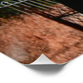 Vampier bezoekt begraafplaats perfect poster (Hoek)