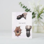 Vampier Squid Briefkaart (Staand voorkant)