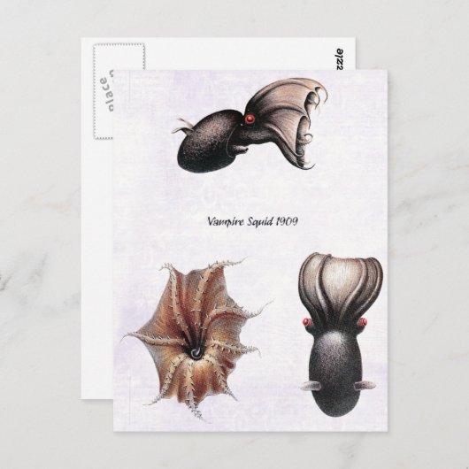 Vampier Squid Briefkaart (Voorkant / Achterkant)