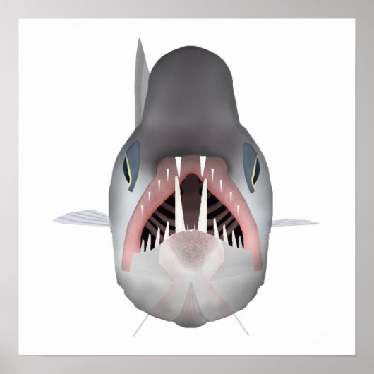 Vampier vis - viskop poster (Voorkant)