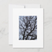 Vampierboom (Voorkant)