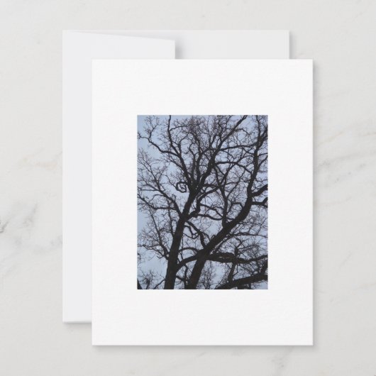 Vampierboom (Voorkant)