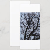 Vampierboom (Voorkant / Achterkant)