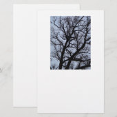 Vampierboom Briefpapier (Voorkant / Achterkant)