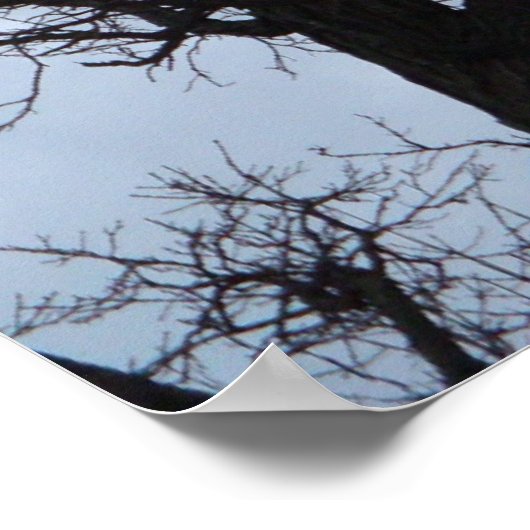 Vampierboom Poster (Hoek)