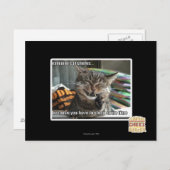 vampierkat glimlacht briefkaart (Voorkant / Achterkant)