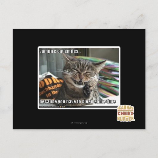 vampierkat glimlacht briefkaart (Voorkant)