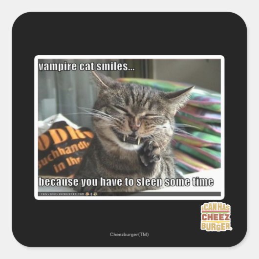 vampierkat glimlacht vierkante sticker (Voorkant)