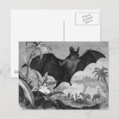 Vampire Bat Briefkaart (Voorkant / Achterkant)