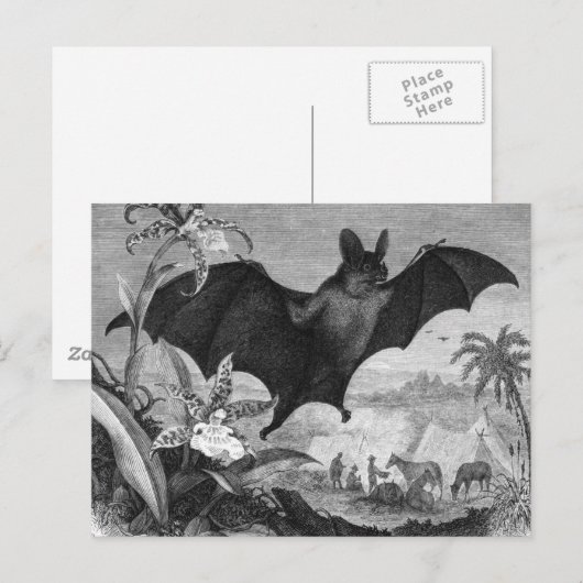 Vampire Bat Briefkaart (Voorkant / Achterkant)