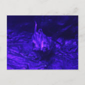 Vampire Bat Briefkaart (Voorkant)