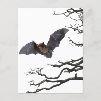 Vampire Bat, Gothic, Dracula, Bat, Horror Briefkaart