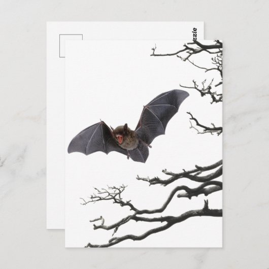 Vampire Bat, Gothic, Dracula, Bat, Horror Briefkaart (Voorkant / Achterkant)