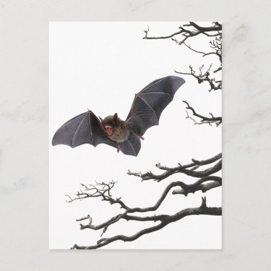 Vampire Bat, Gothic, Dracula, Bat, Horror Briefkaart (Voorkant)