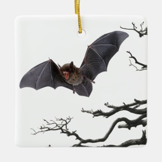 Vampire Bat, Gothic, Dracula, Bat, Keramisch Ornament (Voorkant)