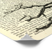 Vampire Bat, Gothic, Dracula, Bat, Natuur Poster (Hoek)