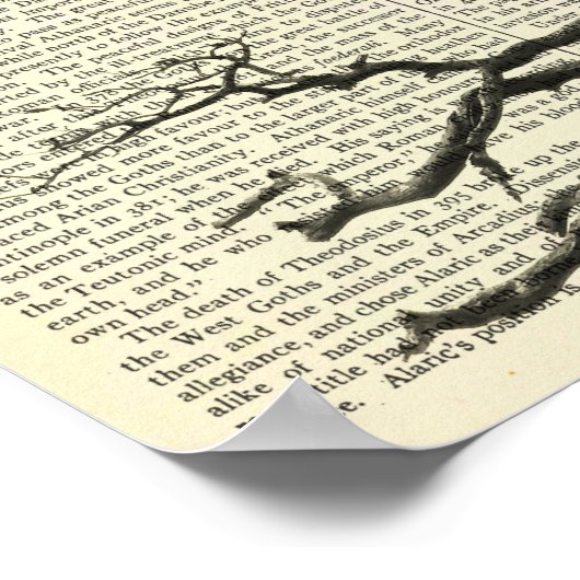 Vampire Bat, Gothic, Dracula, Bat, Natuur Poster (Hoek)