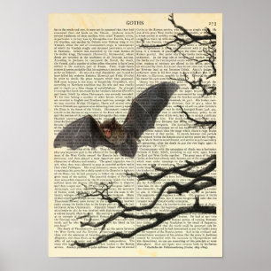 Vampire Bat, Gothic, Dracula, Bat, Natuur Poster