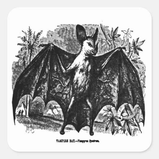 Vampire Bat Sticker (Voorkant)
