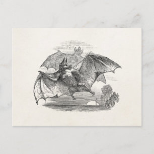 Vampire Bats Aangepaste Retro Bats Briefkaart