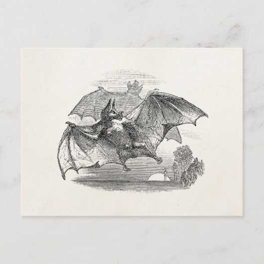  Vampire Bats Aangepaste Retro Bats Briefkaart (Voorkant)