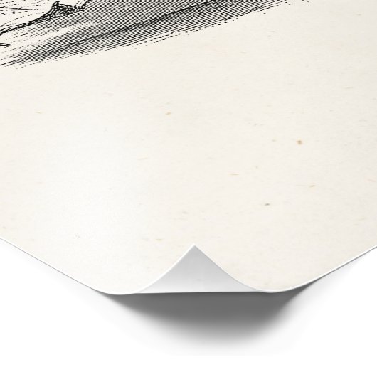  Vampire Bats Aangepaste Retro Bats Foto Afdruk (Hoek)